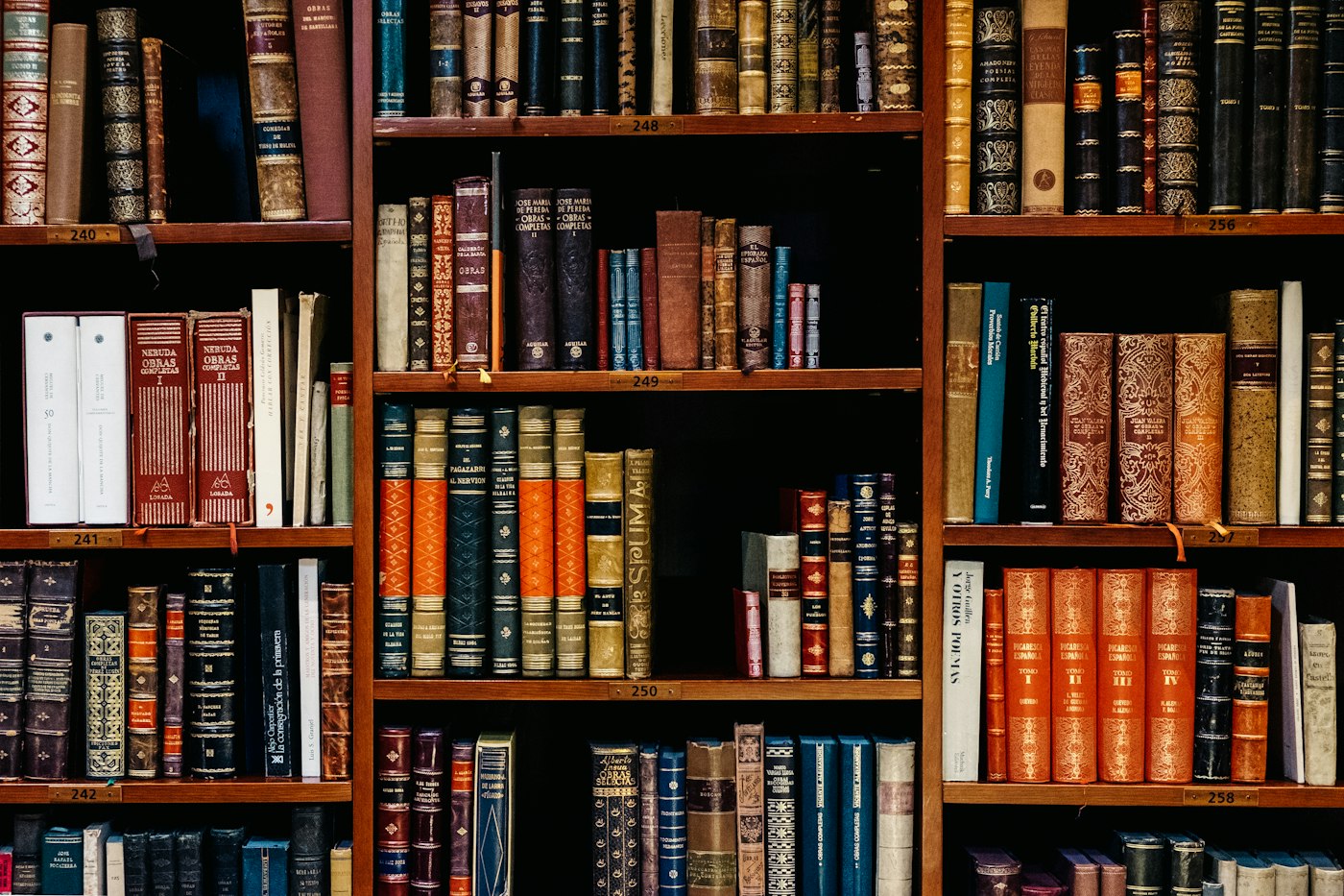 Довгі книжкові полиці в світлому читальній залі